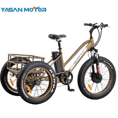 2020 hotsale 24 inch big wheel  Fat Tire BaFang 500w Electric Cargo eTricycle bike for adults