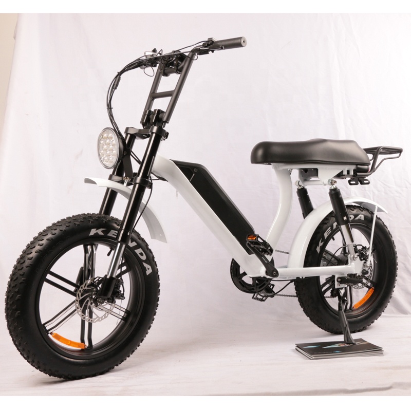 48V 500W/750W Dual Motor Ebike Electric bike For Sales