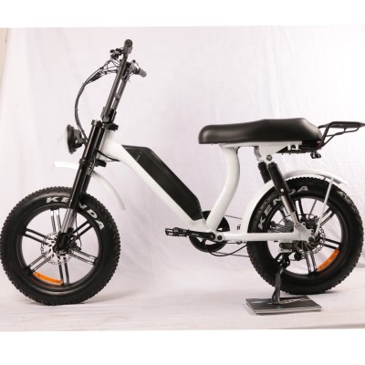 1000W/1500W 48V Fat Electric Bike Mountain With Dual Suspension