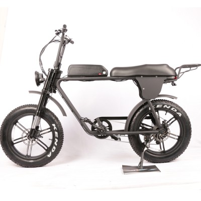 Powerful 1500W 48V Mountain Vintage Electric Bike With Two Seat