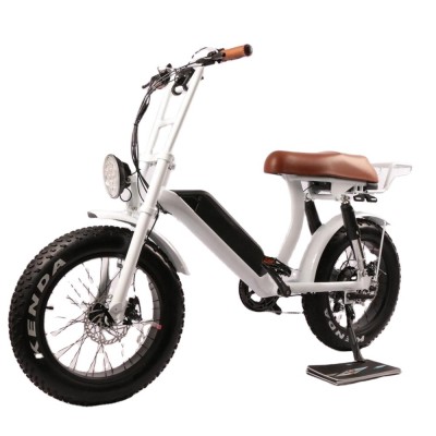 New design model faster 40km/h ebike, electric bicycle, electric bike 500watt, 1000watt Super R2