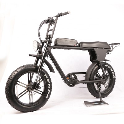 RX Mountain Super Electric Bike 750 Bafang 48V For Sales