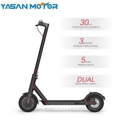 Self Balancing 36V 250W Two Wheel Electric Scooter With APP