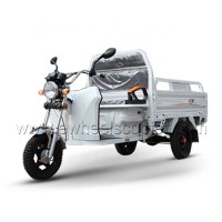 EEC Approved 3 wheel  electric cargo tricycle scooter with 25KM/H